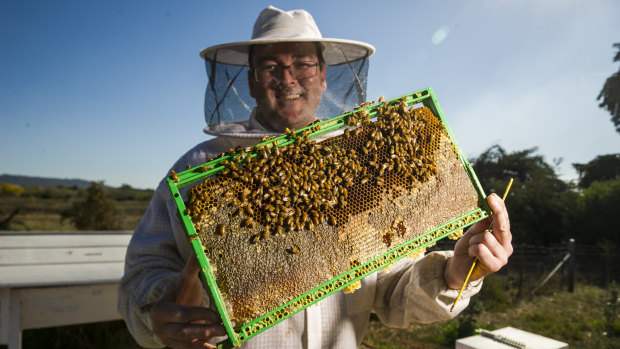 ACT Beekeepers Association president Cormac Farrell, who advised the territory government during a biosecurity exercise on Thursday.
