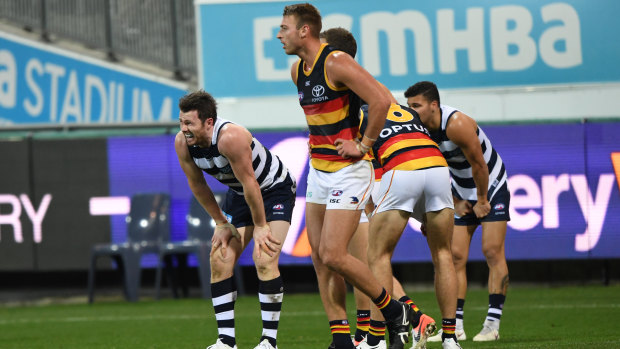 Home truths: Patrick Dangerfield at Geelong's home ground.