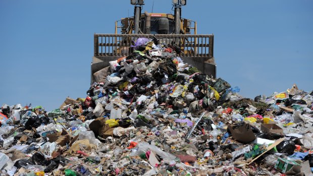 Two thirds of Australians surveyed believe recyclables from council bins end up in landfill.
