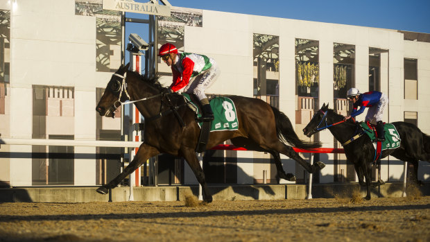 Like A Shot salutes in the $50,000 Federal at Thoroughbred Park on Friday. 