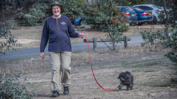 Alex Eyers is one of the volunteers for Domestic Animal Services, helping to walk stray dogs at its Symonston facility.