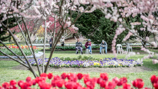 The music-filled 10-acre garden of Tulip Top comes alive in spring.