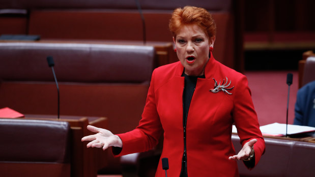 Small political parties, like Pauline Hanson's One Nation, have very little to nurture them or to help them stick together, writes John Warhurst.