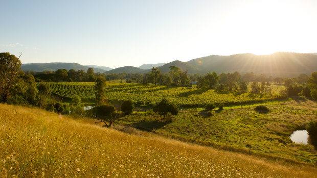 Prosecco wine is building a bigger footprint in Victoria's King Valley.