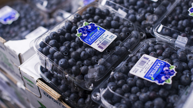 Blueberries, more expensive in part due to a shortage of pickers, added to inflation in the July quarter. But the RBA will not be worried about the costly fruit.