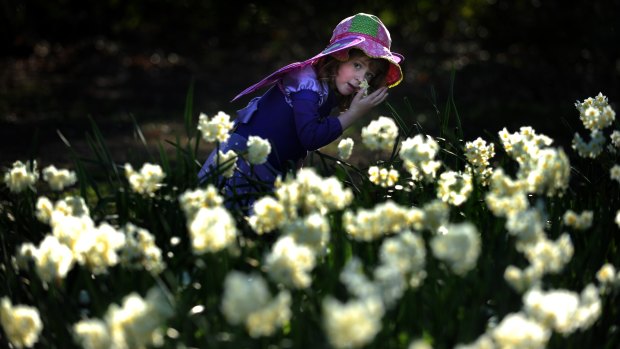 A little girl dressed as a fairy at Floriade, 2010.