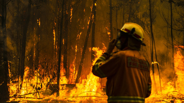 A rural fire service firefighter attempts to protect a property during the Currowan fire in NSW.