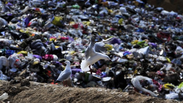 China's 'National Sword' policy has upended the global recycling business.