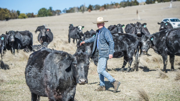 Braidwood farmer Martin Royds has managed the drought after introducing soil science techniques and making a lot of management changes to minimise the effects of drought, fires and climate change. 