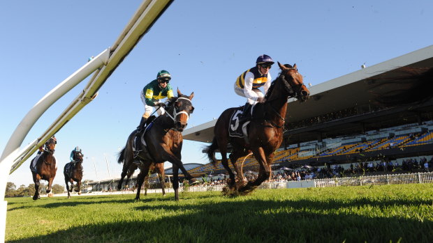 Heading for home: Azuro hits the line to take the Stayer's Cup at Rosehill for Ciaron Maher and David Eustace.