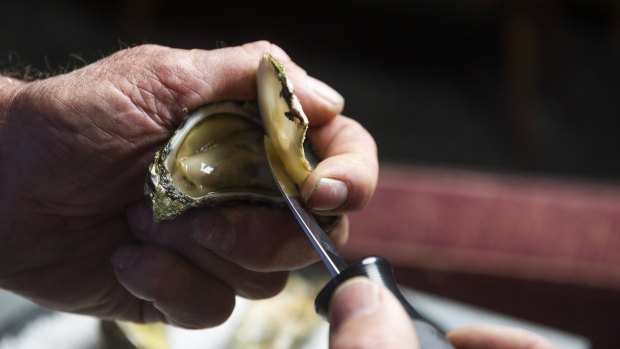 Step two: Open oyster, cutting the muscle.  Oyster expert Steve Feletti demonstrates how to shuck an oyster properly.