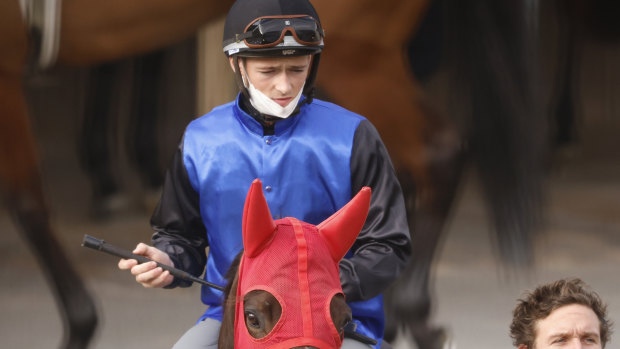 Tom Sherry  has been banned from race riding for four months after breaching NSW Health orders