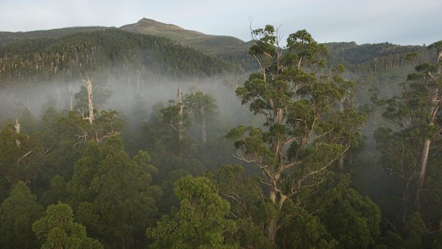 The Styx Valley in southern  Tasmania. Without climate action
by 2030, “we walk into a world in which you have this cascade of tipping points of many different ecosystems,” says former UN 
climate chief Christiana Figueres.