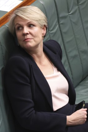 Leadership material: concerns about Tanya Plibersek’s appeal in parts of western Sydney or with blue-collar workers are receding.
