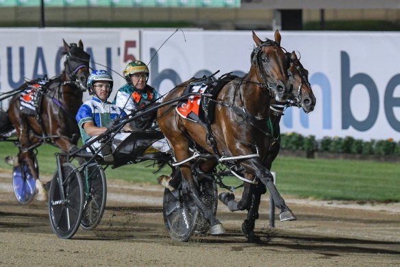 Star four-year-old Expensive Ego runs away with the Chariot Of Fire at Menangle earlier this year.