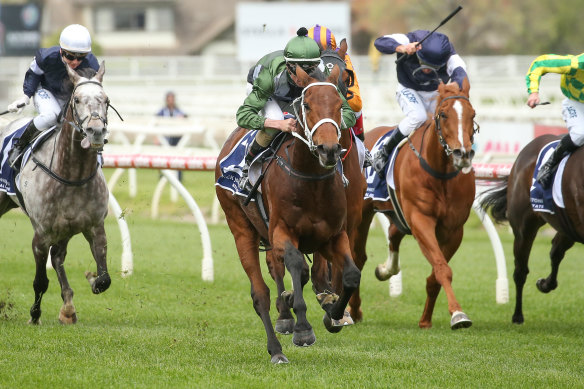 Shared Ambition will be one of the favourites for Saturday's Bart Cummings Stakes.