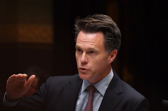 Premier Chris Minns has said the government will announce a drug summit in its own time.