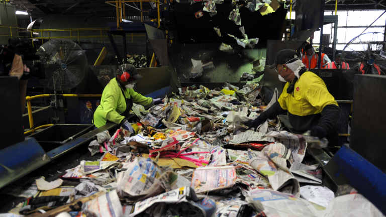 Council comes clean on what's going into recycling bins