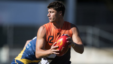 General Patton Zeroes In On Hawthorn Sports Love Me