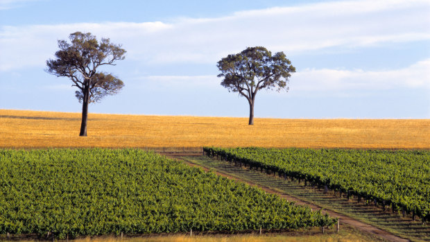 Road-testing the exemplary wines of the Great Southern