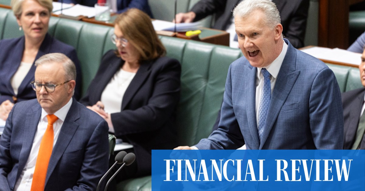 Closing Loopholes Bill : Tony Burke to entrench Fair Work powers over business - Vimarsana News