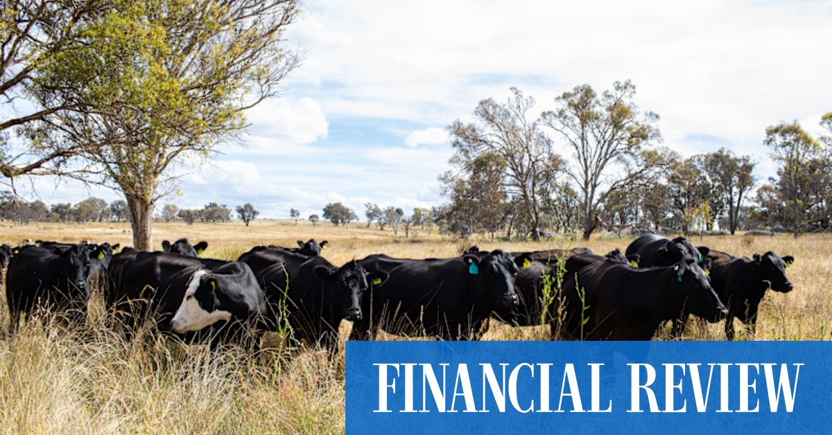 Farmland returns fall below 1pc as rate rises, weak beef prices bite - Vimarsana News