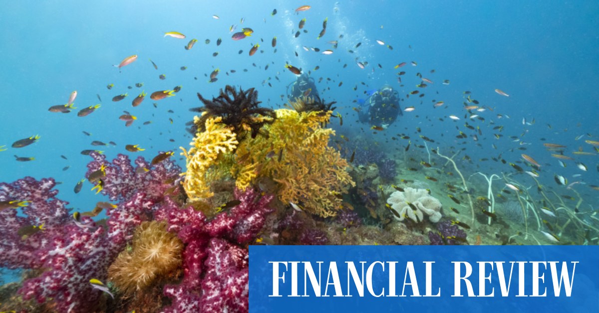 How the McLaren Formula One team is helping save the Great Barrier Reef - Vimarsana News