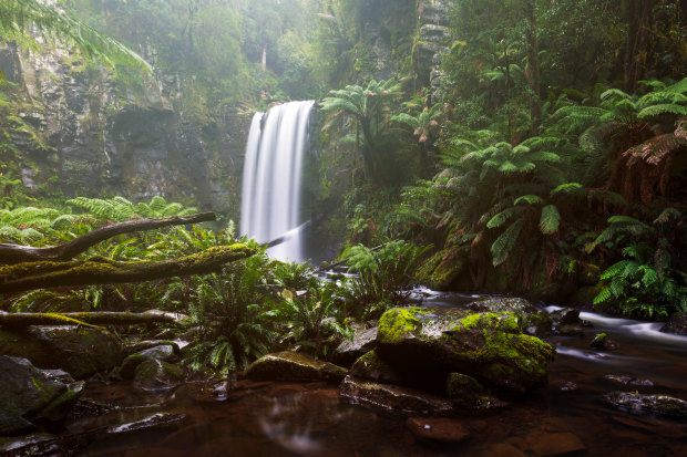 Wilderness in the Great Otway National Park in Victoria. “One of our main tasks now … is to understand this moment, what it might require of us," says American writer Rebecca Solnit. 