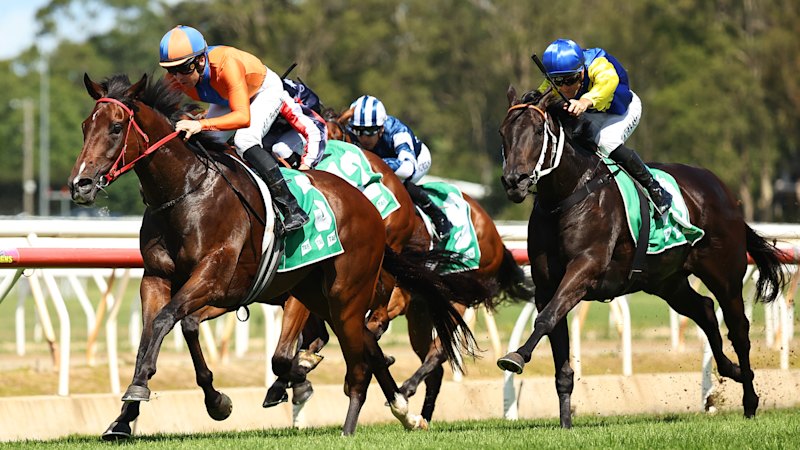 Nasveti za dirke v Wyongu v sredo