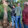 This city botanic garden tour is eye-opening and mouth-watering