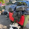 ‘The smell. Oh my God’: Anger grows over Sydney’s rubbish collection debacle