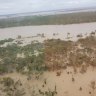 More than 1000 cattle to die in record Queensland floods