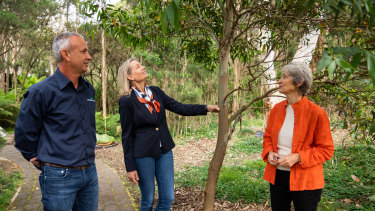 Paul Della Libera from Greening Australia, Environment Minister Sussan Ley and Australian National Botanic Gardens executive director Judy West, with a Mount Imlay mallee.