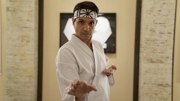 Ralph Macchio was hesitant to reprise the role of Danny LaRusso in Cobra Kai, the TV spin-off of Macchio's hugely successful film The Karate Kid. 