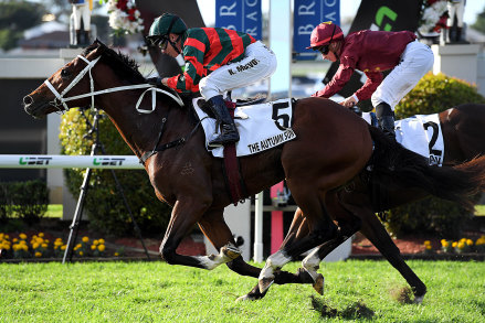 Rosy pair: The Autumn Sun gets the better of Zousain in the JJ Atkins at Doomben.