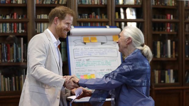 Prince Harry and Dr Jane Goodall at Windsor Castle this month.