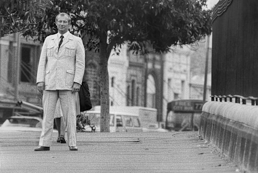 Roger Rogerson: Should have been given 10 years for the safari suit.