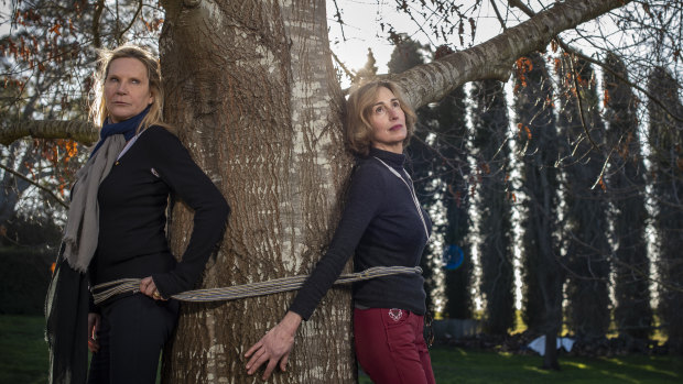 "I'll tie myself to anything," says Skye Leckie, who is campaigning against the trees' removal with Janet Storrier.