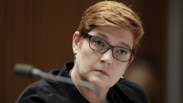 Foreign Affairs Minister Marise Payne said public service departments need to act on domestic violence.
