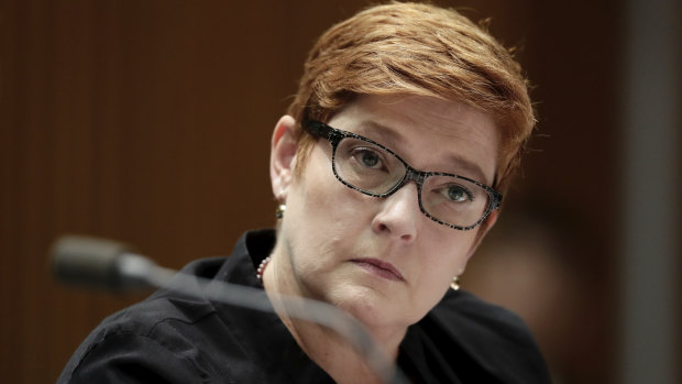 Foreign Affairs Minister Marise Payne says that increased tensions in cyber space could spill over into actual conflict.
