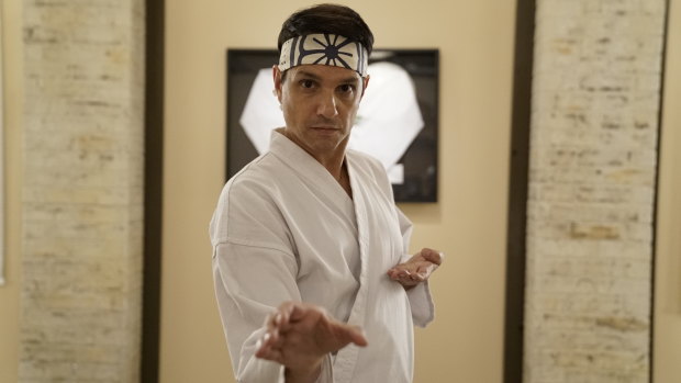 Ralph Macchio was hesitant to reprise the role of Danny LaRusso in Cobra Kai, the TV spin-off of Macchio's hugely successful film The Karate Kid. 