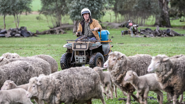 Quad bikes, pictured here without roll-over protection, are the leading cause of deaths on farms in Australia. 