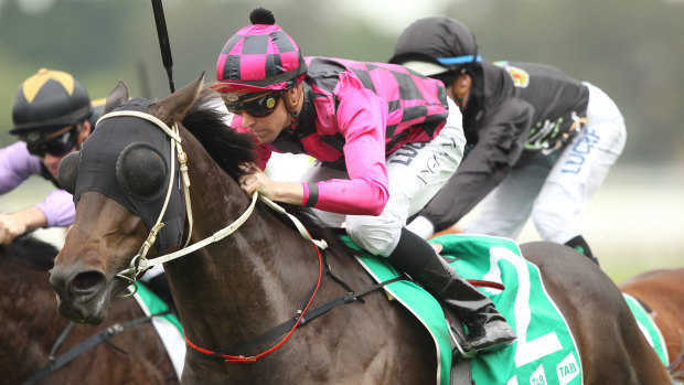 Nine races will be held at Sydney's Rosehill on Saturday.