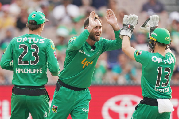 Glenn Maxwell celebrates a wicket for the Stars during their win over the  Perth Scorchers on Saturday night.