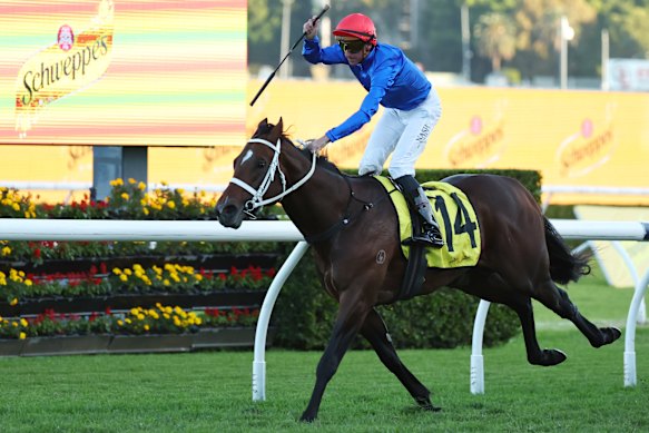 Nash Rawiller salutes on Beiwacht in the All Aged Stakes.