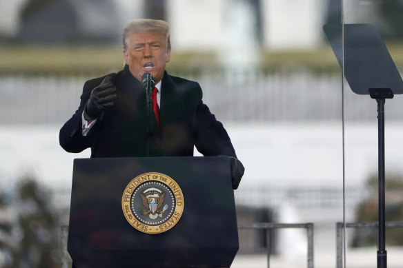 Donald Trump speaks to supporters at a rally held before protesters stormed the Capitol.