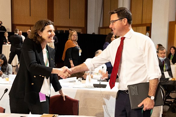 Nationals leader David Littleproud and independent MP Allegra Spender shake hands.