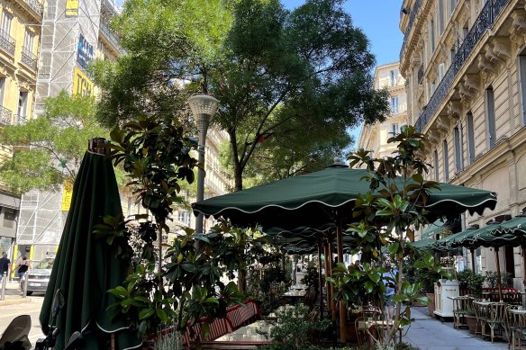 Trees and potted greenery bring shade to a street in Marseille.