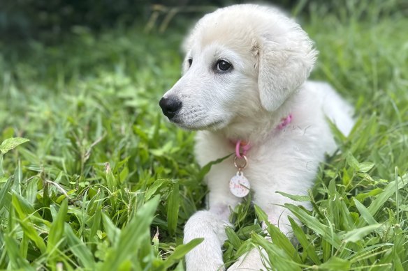 Look at that face. How could you not want her to ride with you?