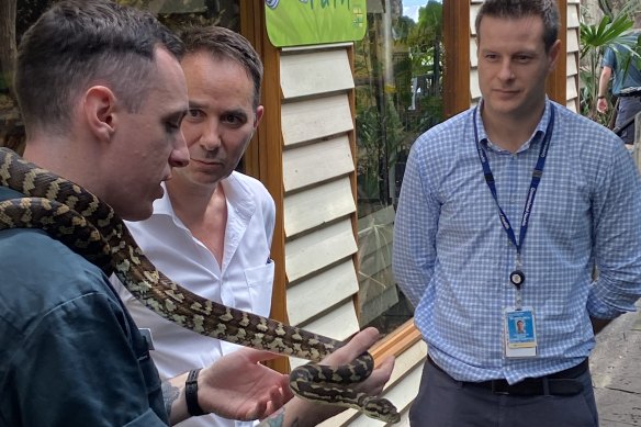 Cairns Zoo zookeeper Dan Kemp introduces study authors Dr Josh Hanson and Dr Simon Smith to a python.
